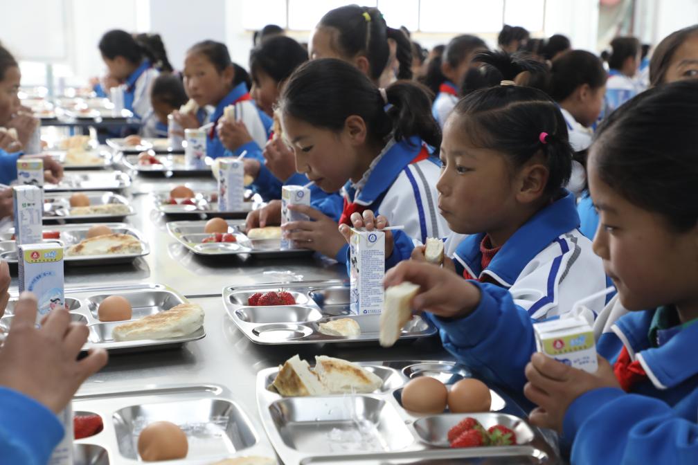 营养餐计划惠及甘肃152.8万余名学生