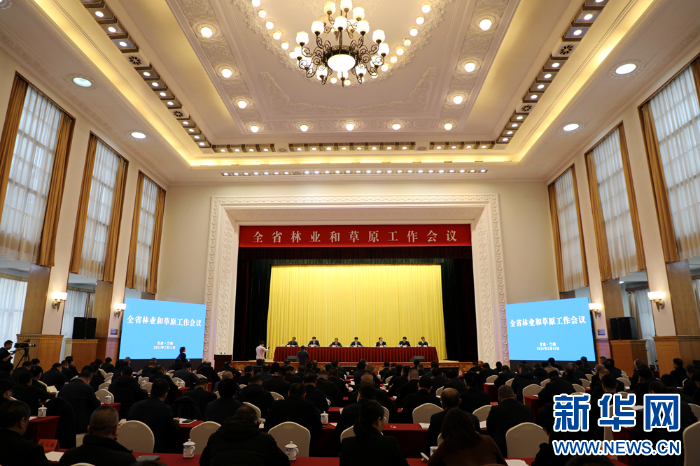 甘肃2024年完成国土绿化137061万亩 新华网必赢下载(图1)