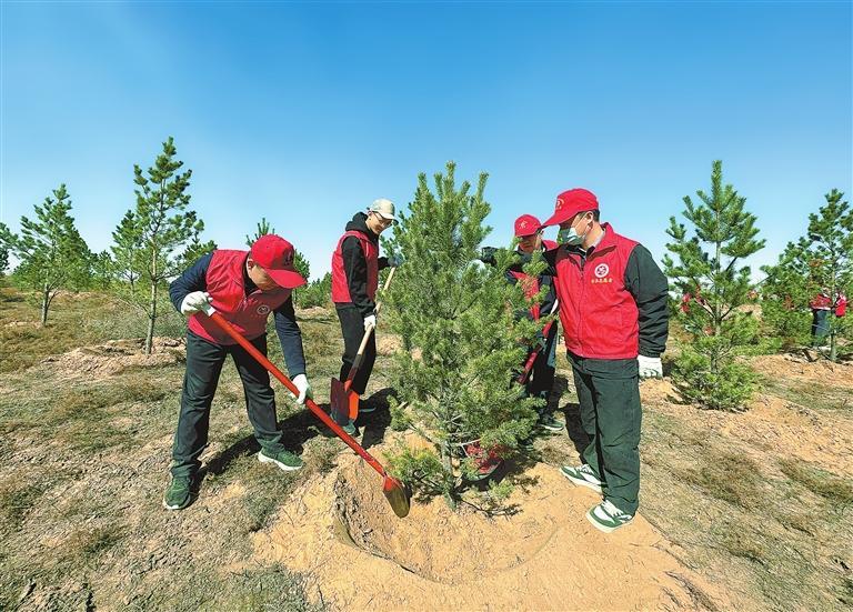 必赢网址植树造林添新绿——古浪县2025年春季义务植树活动现场见闻新华网(图1)