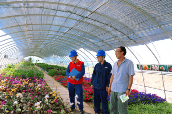 国网庆阳供电公司：电力赋能 花卉产业绽放“美丽经济”新光彩