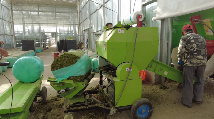 肃北:水培牧草破难题项目赋能兴牧业(图2)