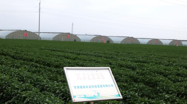 智慧农机“上岗”永昌县水源镇辣椒种植跑出“科技加速度”(图2)