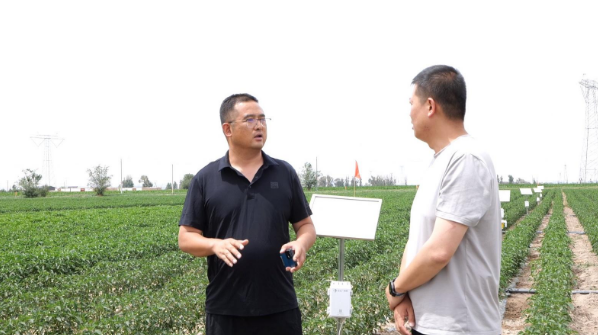 智慧农机“上岗”永昌县水源镇辣椒种植跑出“科技加速度”(图1)