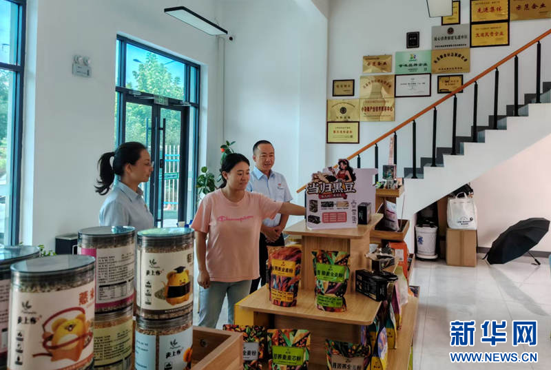 甘肃庆阳:金融活水润泽县域发展沃土-新华网(图2)