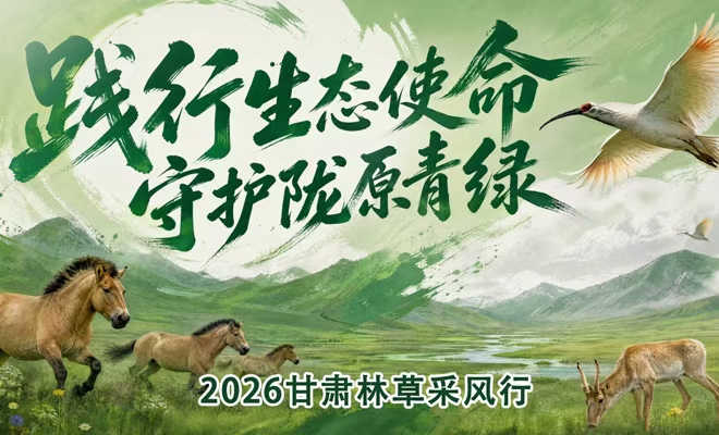 【专题】践行生态使命 守护陇原青绿
