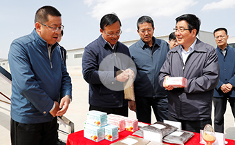 专访甘肃省委书记,省人大常委会主任林铎