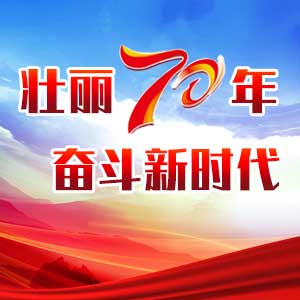 壮丽70年 奋斗新时代