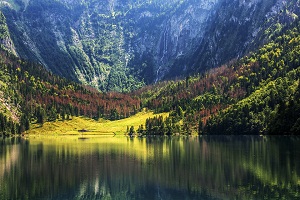 木月自然摄影作品