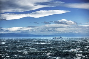 木月自然摄影作品