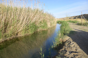 阳关荒漠化治理大型公益捐献活动