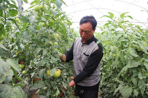 2014马与丝绸之路国际论坛 8月8日在张掖市举