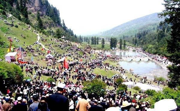 花儿-今日和政网