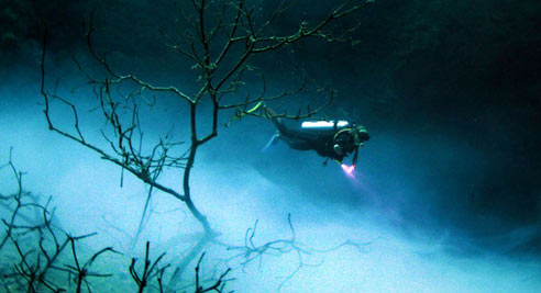 黄磊何炅谎报身高 黄晓明183身高不见了?(图