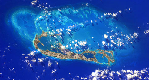 英国大妈给流浪狗<em>织</em>5年<em>毛衣</em> 各种款式花色(图