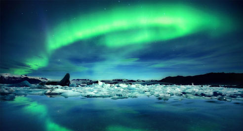 瑞典发现最老古树已生长9500年 长寿古树盘点