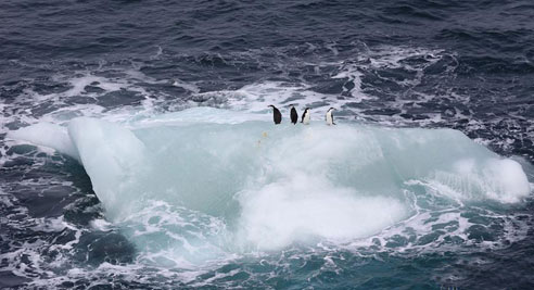 夫妻雪山吵架丢下奶娃 9名驴友轮流背下山(图