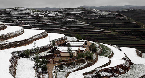 甘肃定西五月飞雪 梯田雪景美如画(高清组图)