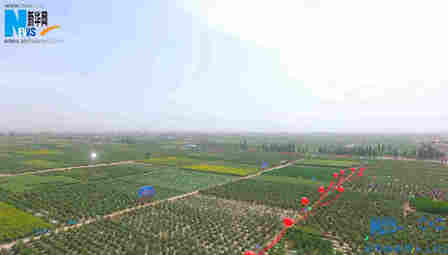 航拍：第二届靖远枸杞爱心采摘节开幕