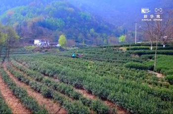 航拍碧口古镇——坐落在大西北的江南水乡