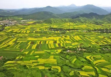 大美和政:为花儿临夏添彩增色