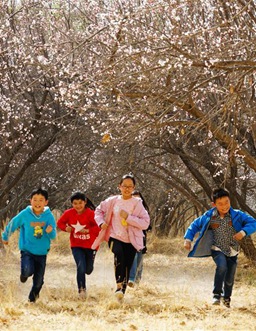 甘肅：春暖花開醉遊人