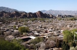 甘肅：杏花村裏春滿園