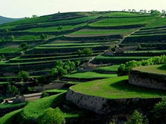 创新发展 共赢未来