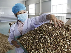 第二届中国(甘肃&middot;民乐)中医药产业博览会举办中医药产业发展论坛