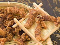 民乐：药材飘香产业兴