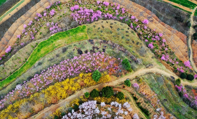 甘肃：生态乡村满眼春
