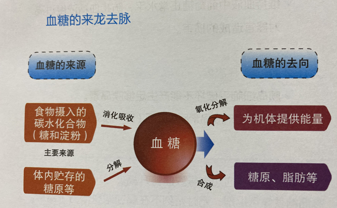 糖尿病有预警信号吗？