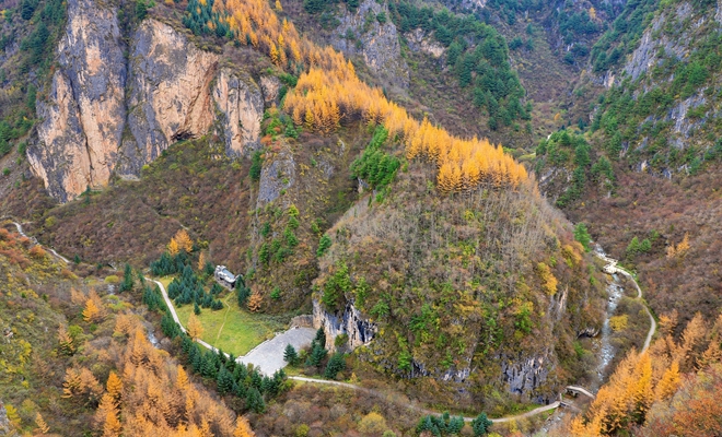 萧萧秋林遮阳山