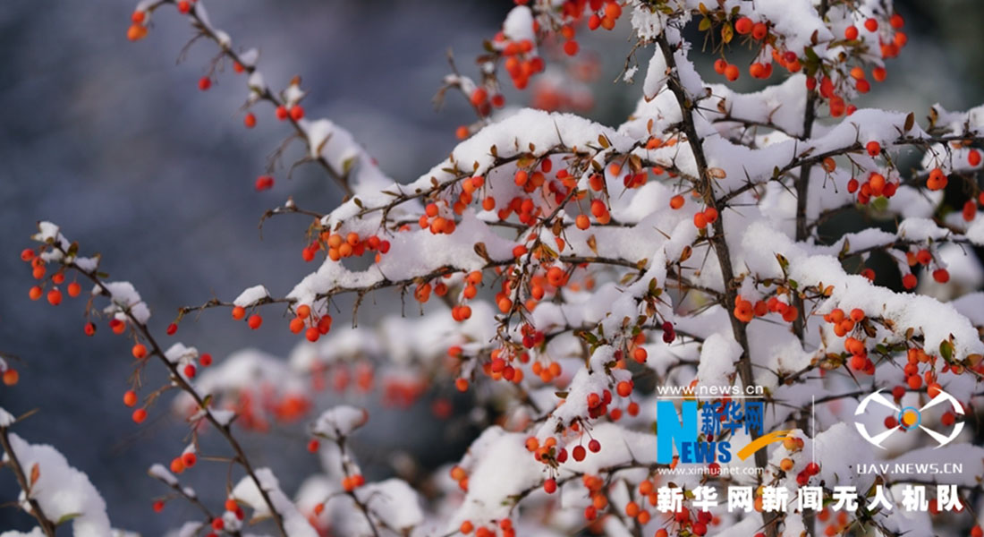 【“飞阅”中国】秋雪“惊艳”马蹄寺