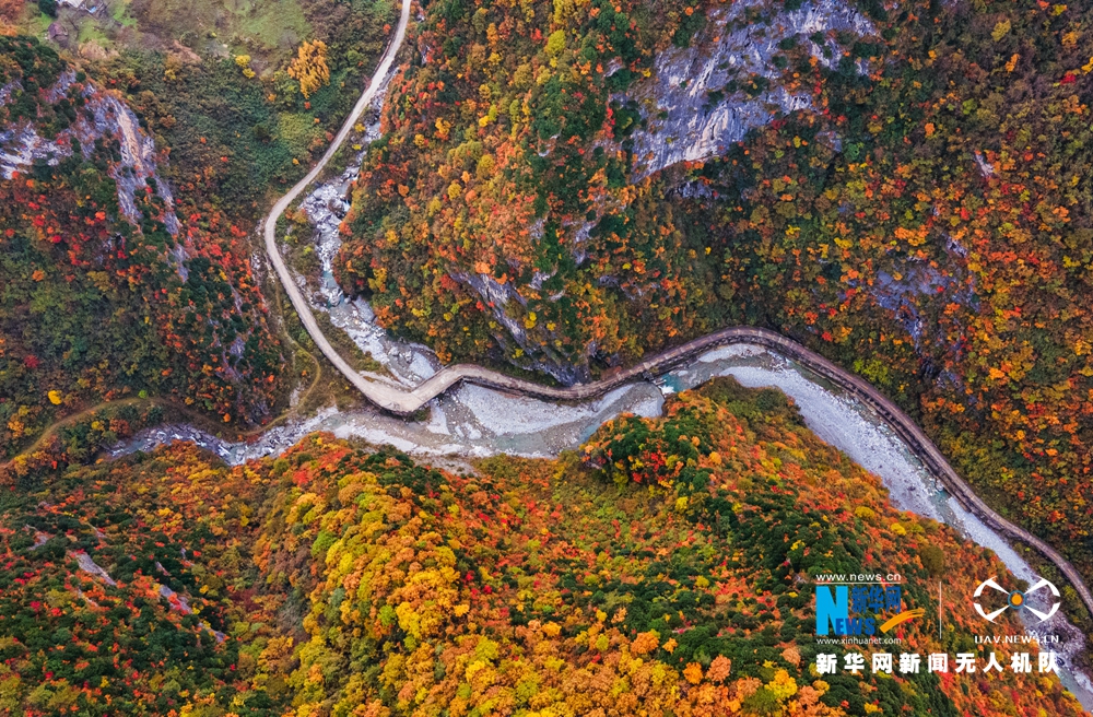 冬来秋未尽 多彩两当云屏三峡