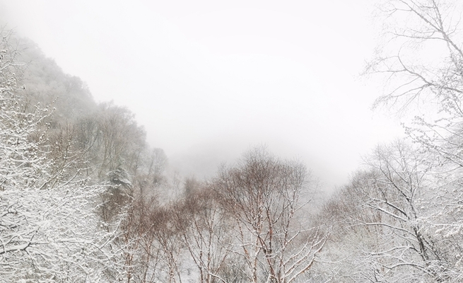 【大美甘肅】蓮花臺迎春雪 氤氳似仙境