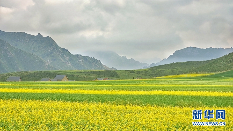 民樂縣有什么好玩的地方景點推薦？民樂縣十大旅游景點排名-甘肅省民樂縣旅游攻略必去一日游有哪些免費景點(圖1)
