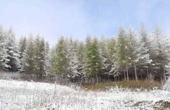 邀你一起來臨潭賞雪