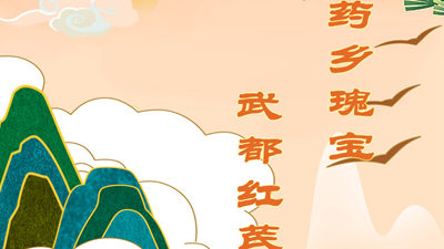 药乡瑰宝 武都红芪