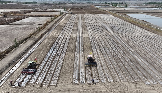 瓜州：科技加持机械化托管 助力13.5万亩机采棉播种