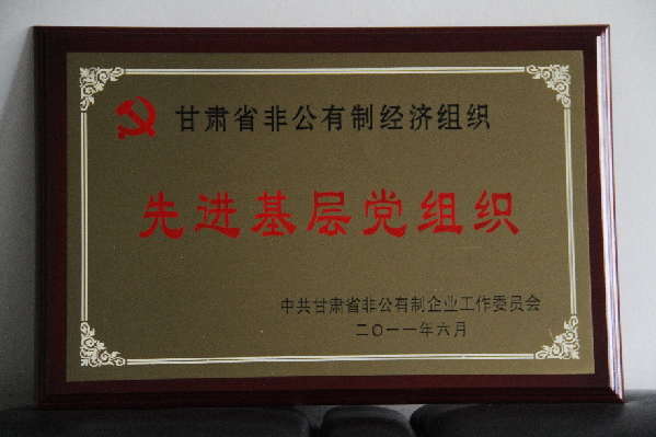 方大炭素党建网