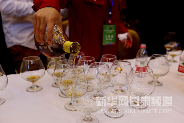 相约葡萄酒城,见证中国葡萄酒的高速发展--新华