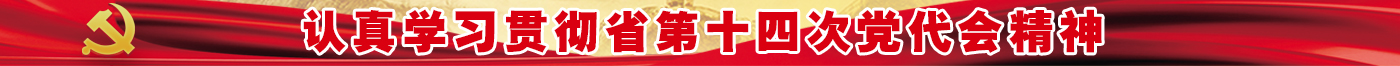 十四次党代会