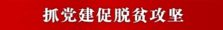 抓党建促脱贫攻坚