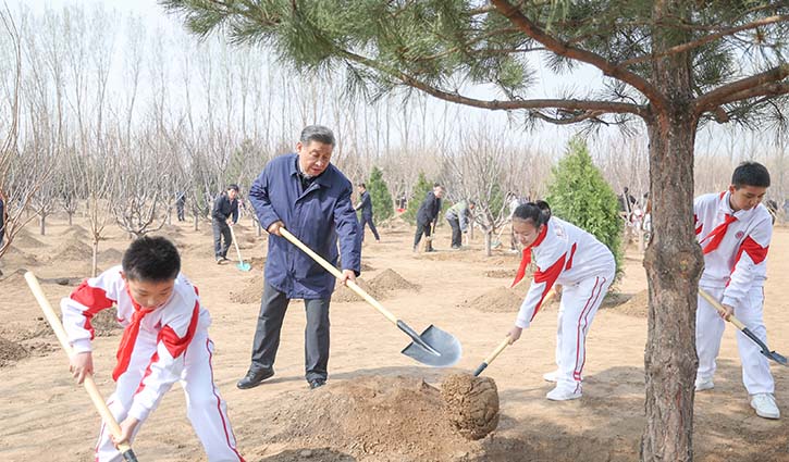 習近平：全民植樹增綠 共建美麗中國